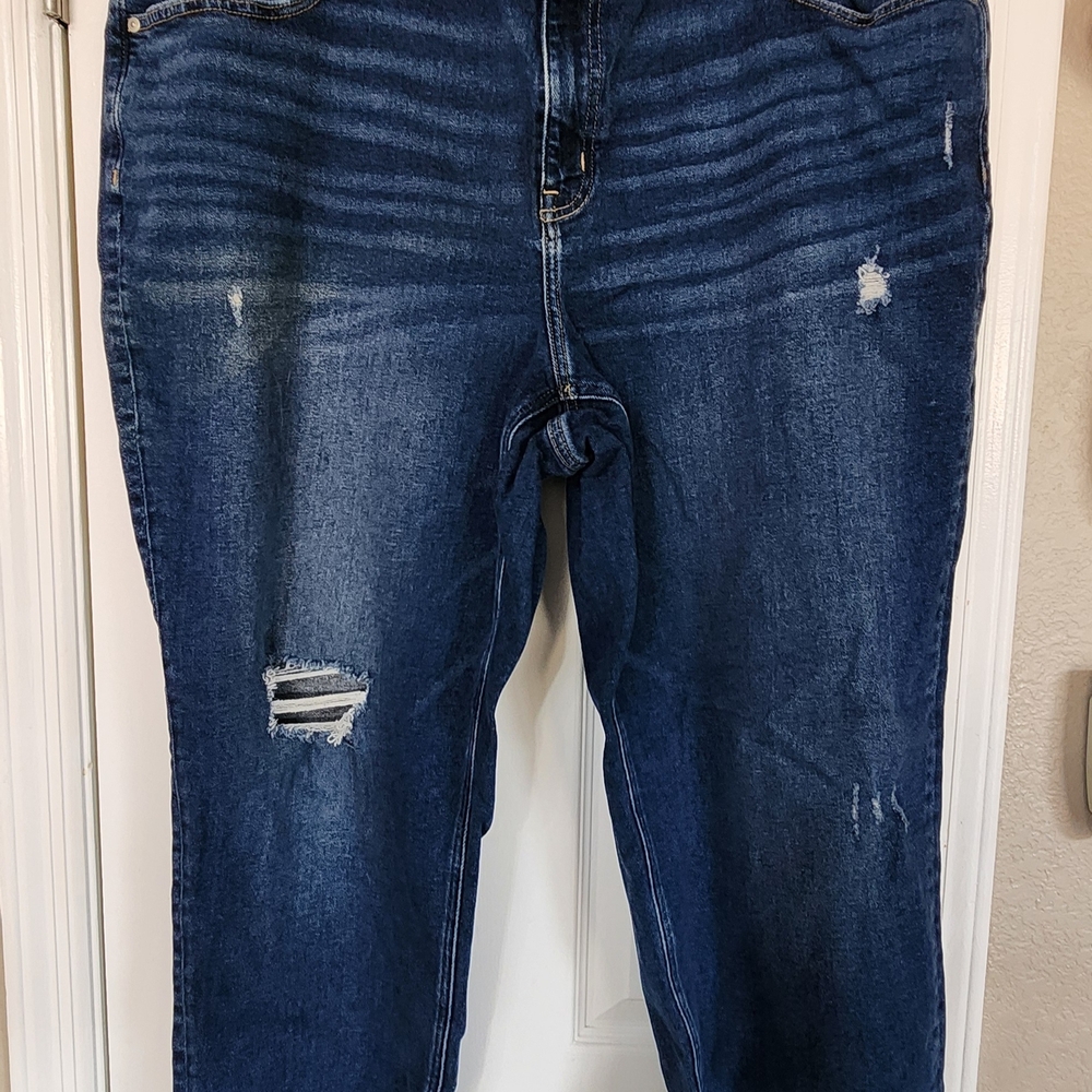 Lane Bryant Dark Indigo Distressed Jeggings